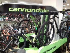 Cannondale Point 2019